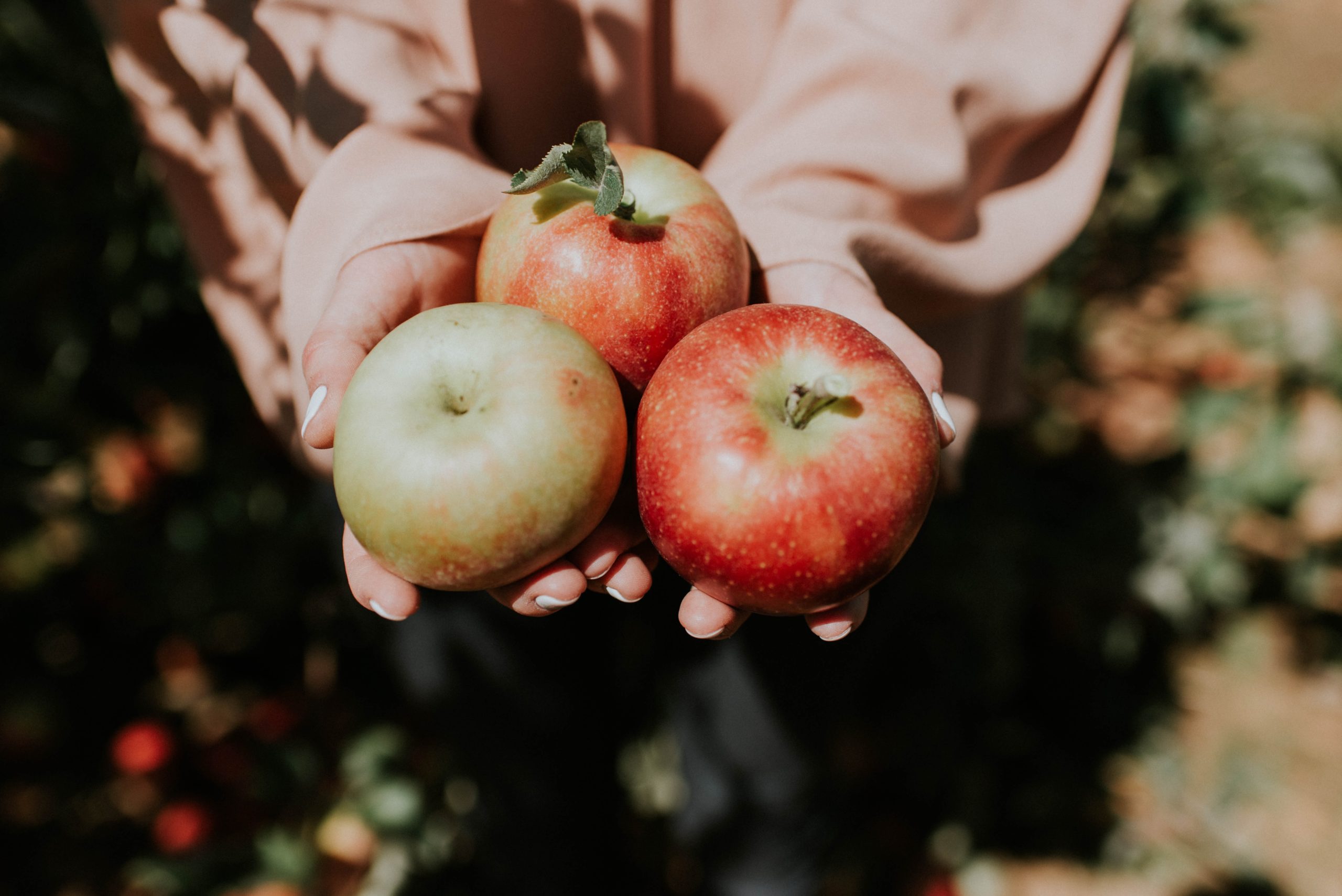 Des pommes