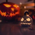 Des citrouilles inquiétantes